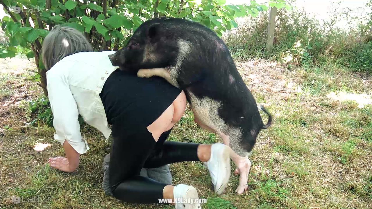 Pigs Girl Sex Download - Pig sex video
