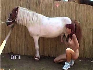 Pony bestiality sex
