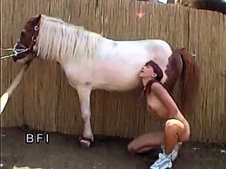 Pony bestiality sex