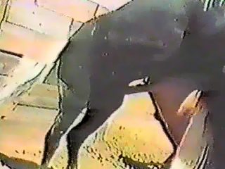 Horse fuck man compilation. Only active horse at video