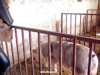 Porn animal with pig and girl
