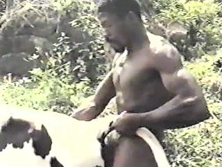 Men fucks cows - compilation of zoo porno