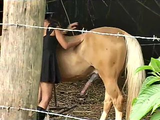 XXX humans and animal. Bisexual horse sex