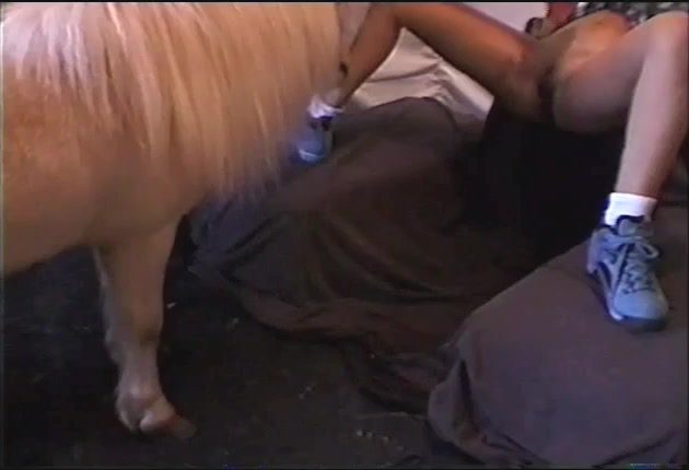 630px x 430px - Horse fucks woman in missionary. Bestiality compilation
