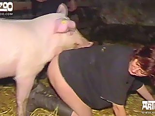 Pig sex porn
