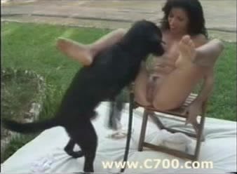 Gril anal sex with dog