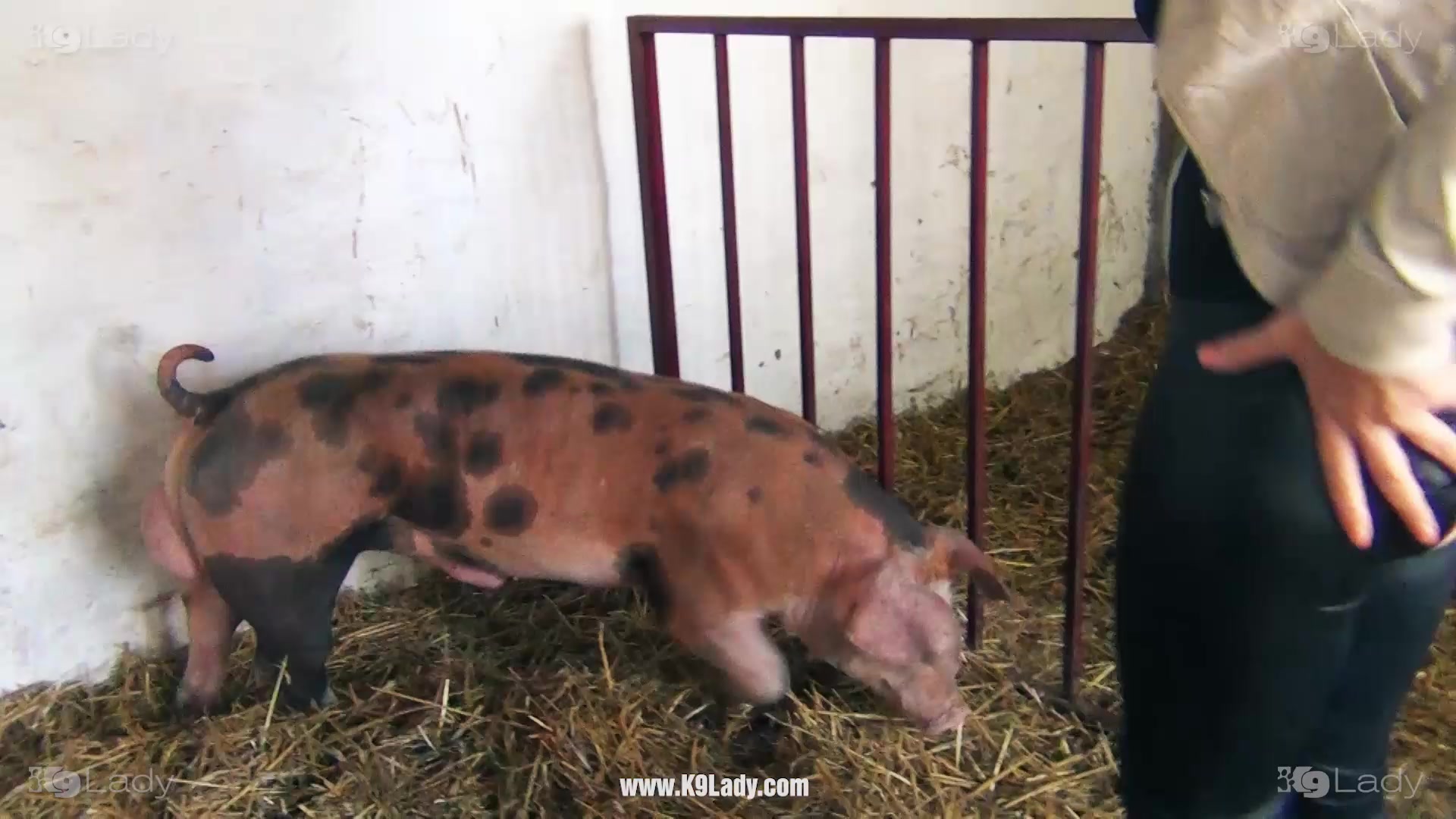 Girl pig sex end by rich creampie