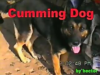 Homemade dog cumshots from 2000s