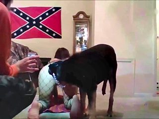 US bestiality porn. Nice blowjob for dog from hot lady
